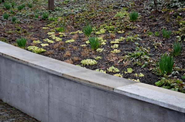 Concrete Wall Construction in San Luis Obispo
