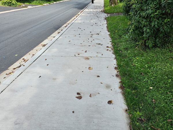 Sidewalk Renovation in San Luis Obispo