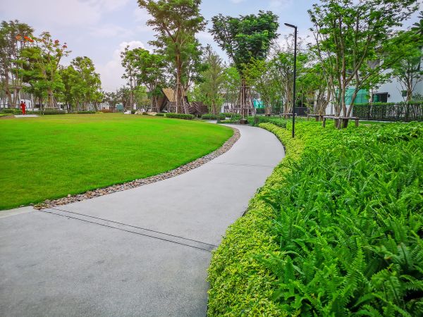 Cement Walkway Service in San Luis Obispo